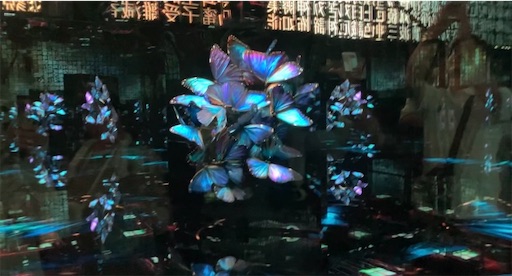 f:id:cellolife:20250915222308j:image