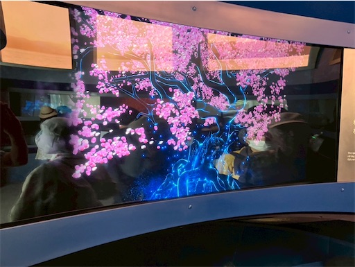 f:id:cellolife:20250915224022j:image