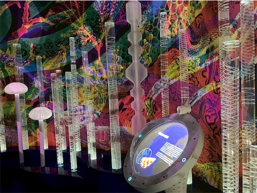 f:id:cellolife:20250915224049j:image