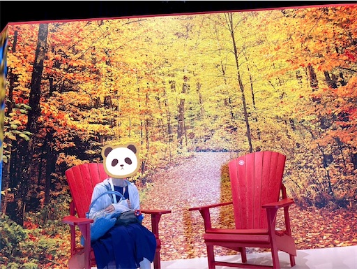 f:id:cellolife:20250923221213j:image f:id:cellolife:20250923221213j:image