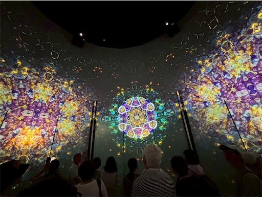 f:id:cellolife:20250923222958j:image