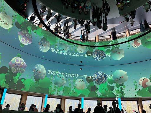 f:id:cellolife:20250923224036j:image