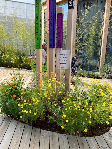 f:id:cellolife:20250923224059j:image