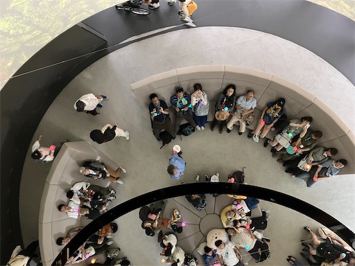 f:id:cellolife:20250923224119j:image