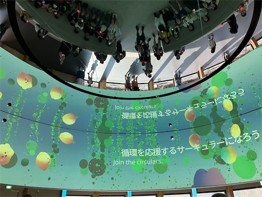 f:id:cellolife:20250923224128j:image