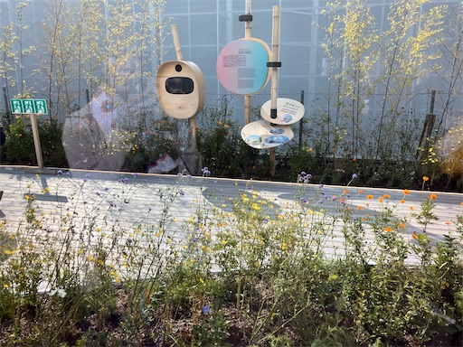 f:id:cellolife:20250923224147j:image