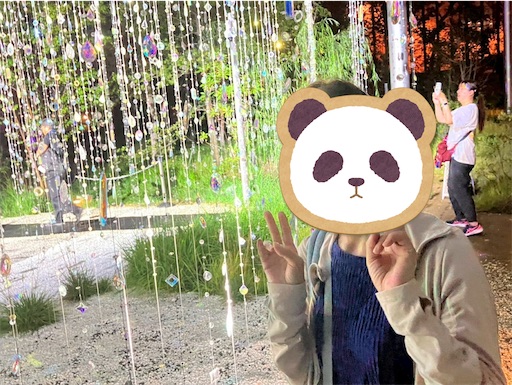 f:id:cellolife:20250927231810j:image