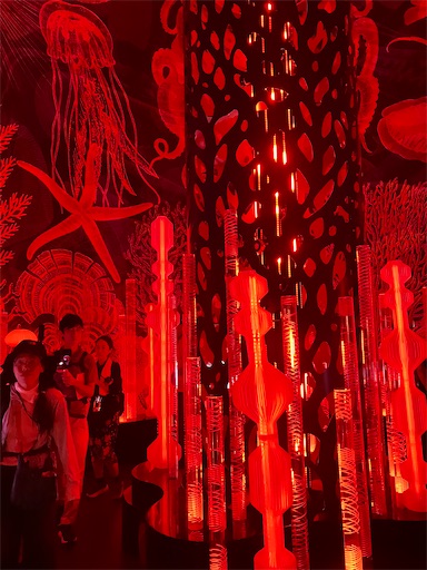 f:id:cellolife:20250928132731j:image