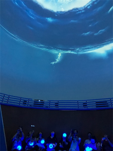 f:id:cellolife:20250928134323j:image f:id:cellolife:20250928134323j:image