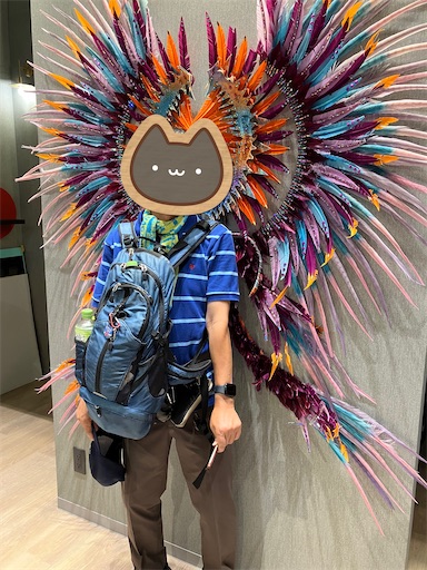 f:id:cellolife:20250928134759j:image f:id:cellolife:20250928134759j:image