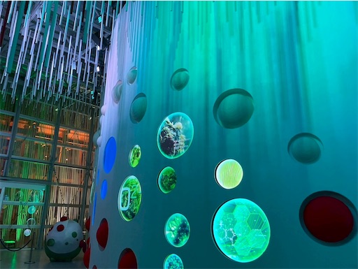 f:id:cellolife:20250928135014j:image f:id:cellolife:20250928135014j:image