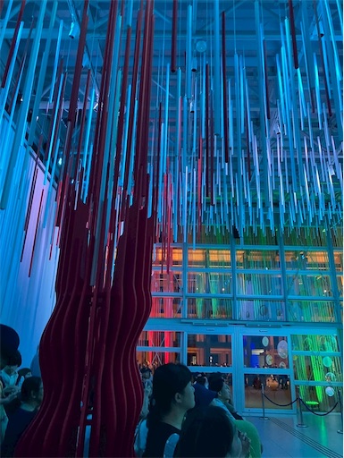 f:id:cellolife:20250928135038j:image f:id:cellolife:20250928135038j:image