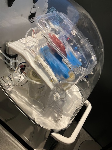 f:id:cellolife:20250930214132j:image