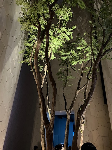 f:id:cellolife:20251001212004j:image