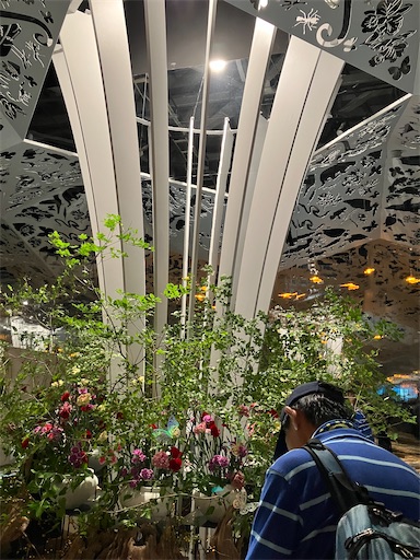 f:id:cellolife:20251001214023j:image f:id:cellolife:20251001214023j:image