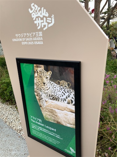 f:id:cellolife:20251004094753j:image f:id:cellolife:20251004094753j:image