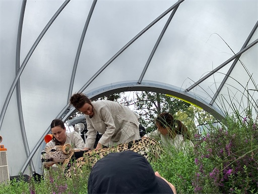 f:id:cellolife:20251004094756j:image f:id:cellolife:20251004094756j:image