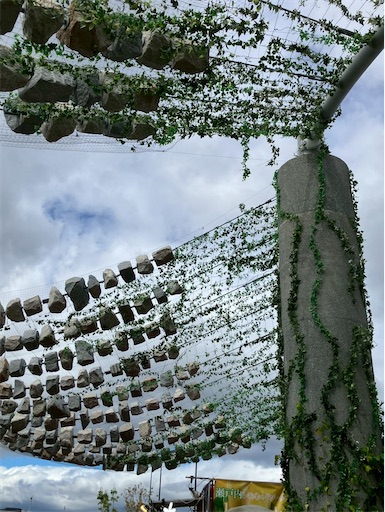 f:id:cellolife:20251023185458j:image