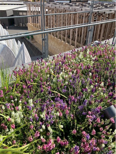 f:id:cellolife:20251027081815j:image