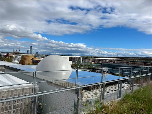 f:id:cellolife:20251027081854j:image