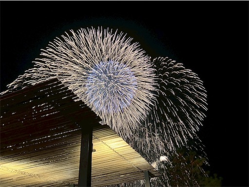 f:id:cellolife:20251027082709j:image