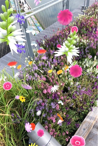 f:id:cellolife:20251027091734j:image