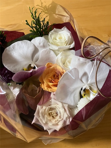 f:id:cellolife:20251125142840j:image