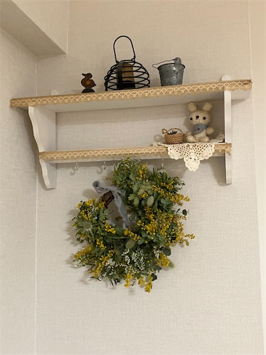 f:id:cellolife:20260224212019j:image