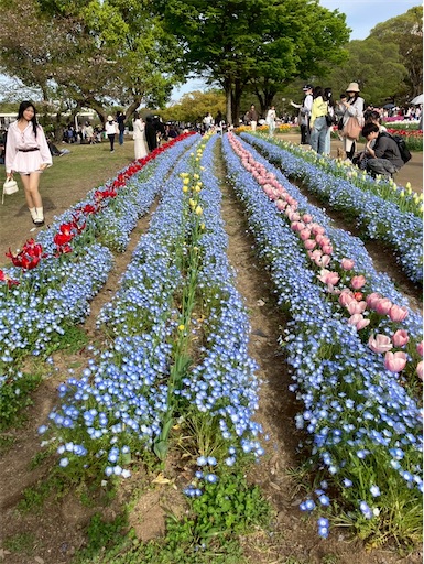 f:id:cellolife:20260425214207j:image
