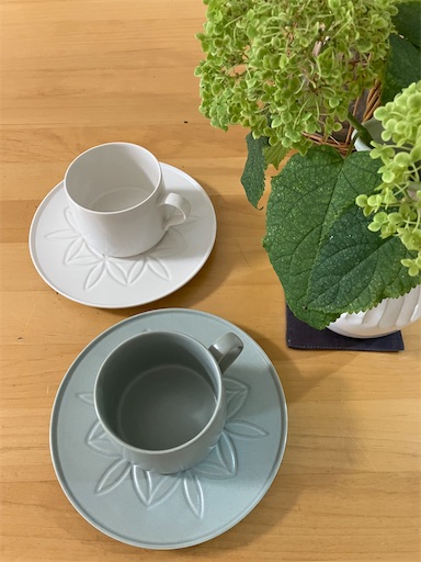定年後夫婦のコーヒータイム - 白鳥を弾くまで