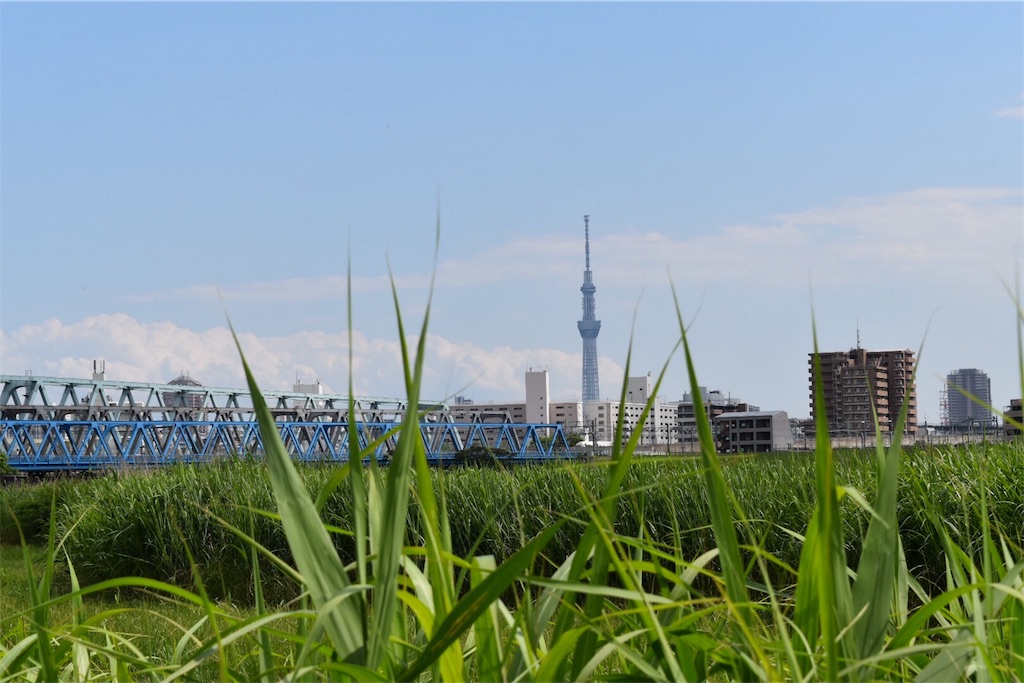 f:id:cellslife:20180601203854j:image