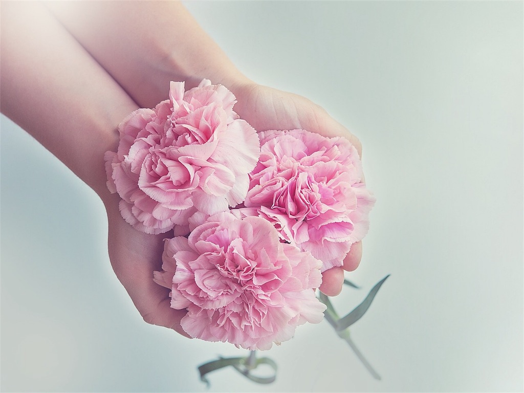 f:id:cellslife:20180625170856j:image