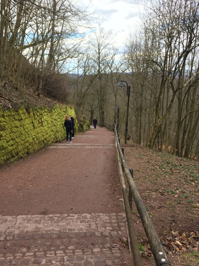 f:id:cemedine:20180429143804j:plain f:id:cemedine:20180429143804j:plain