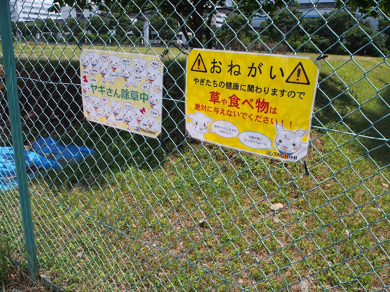 f:id:cemetrygates1919:20170625000452j:plain
