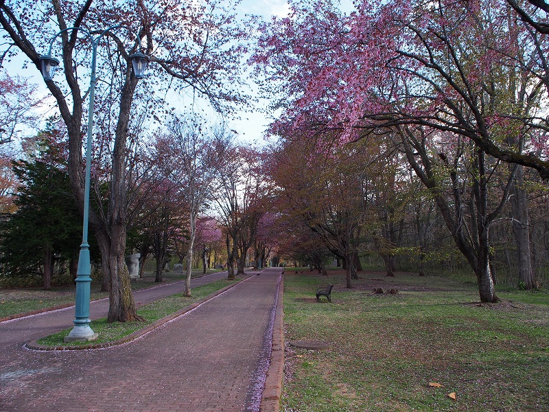 f:id:cemetrygates1919:20180513202424j:plain