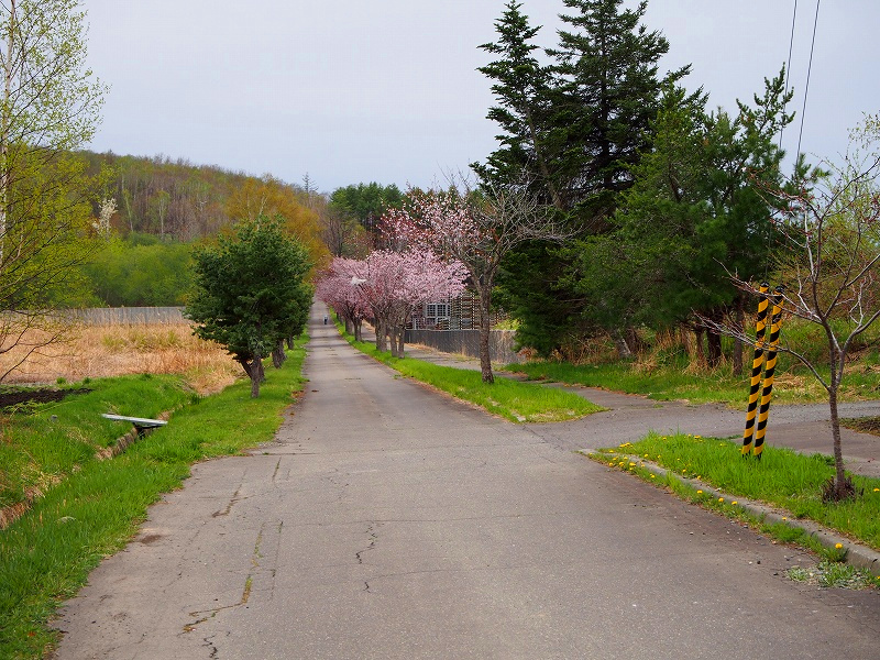 f:id:cemetrygates1919:20180513220231j:plain