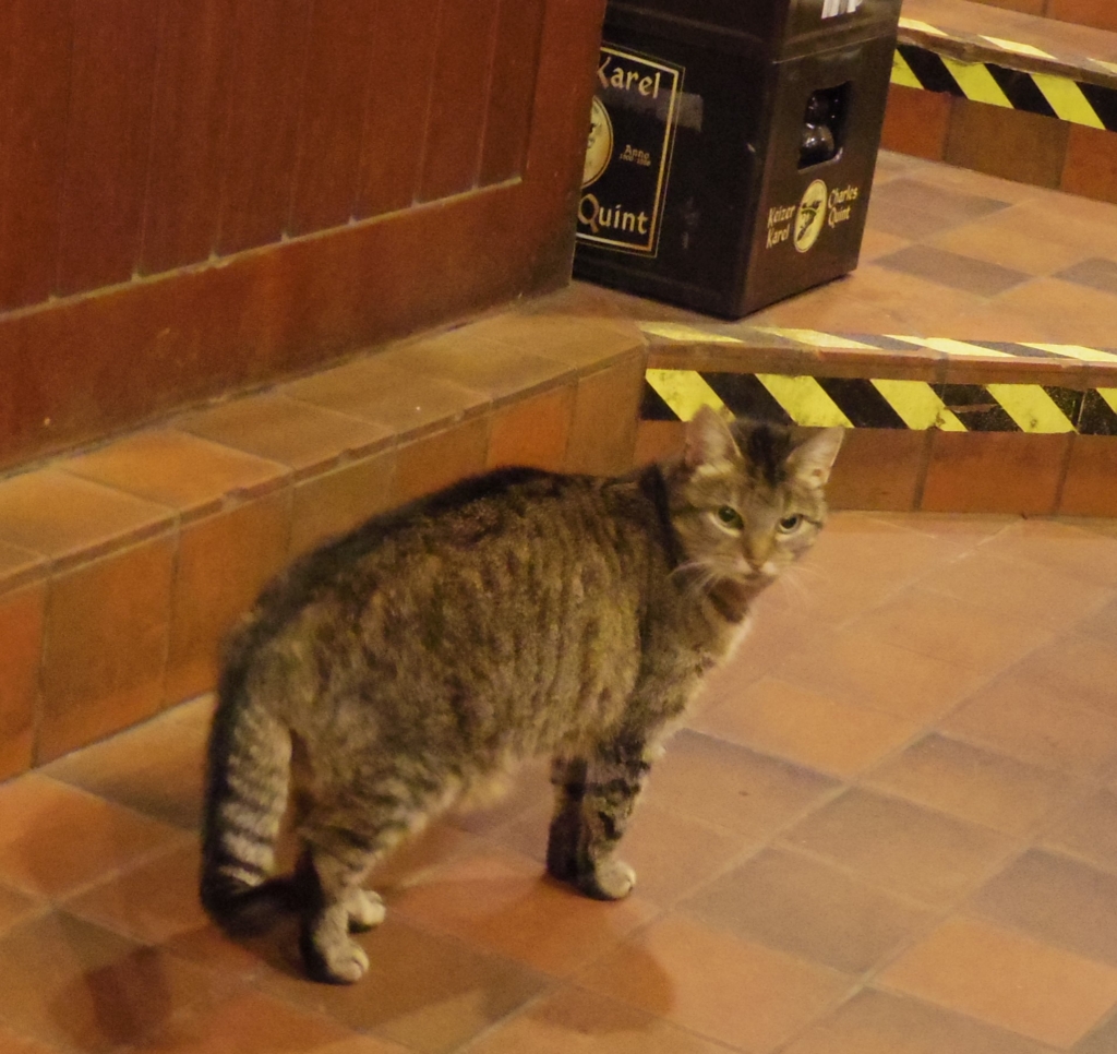 f:id:cenecio:20160114213541j:plain