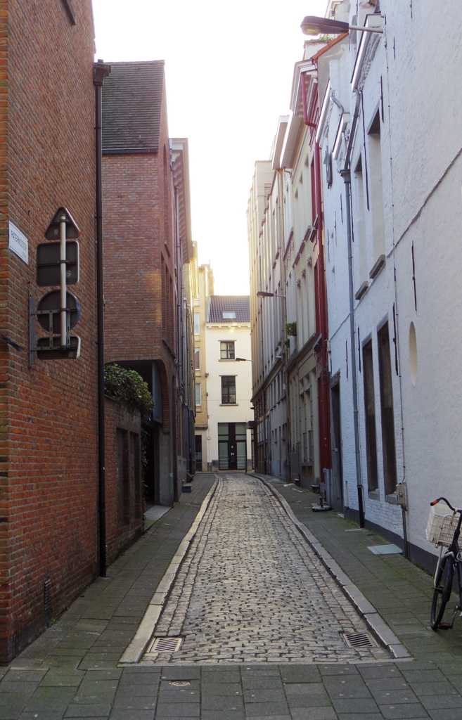 f:id:cenecio:20160123165635j:plain