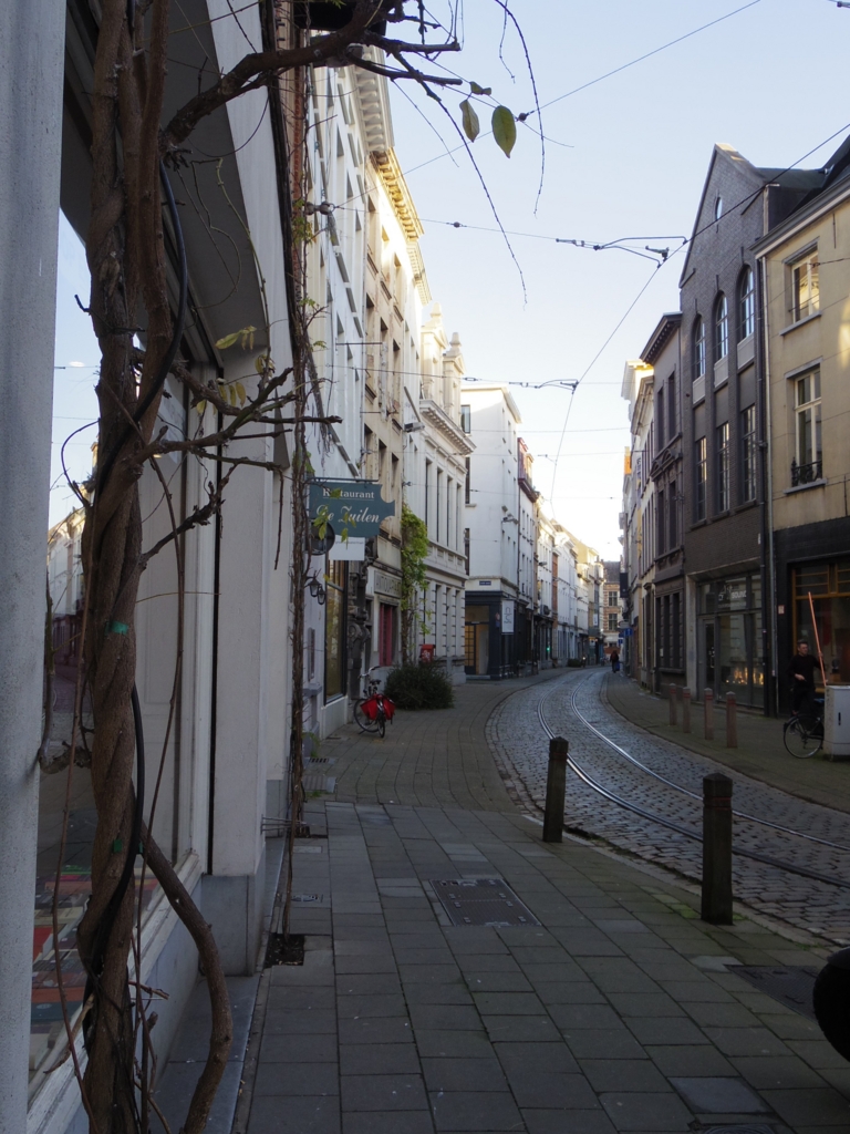 f:id:cenecio:20160123165748j:plain