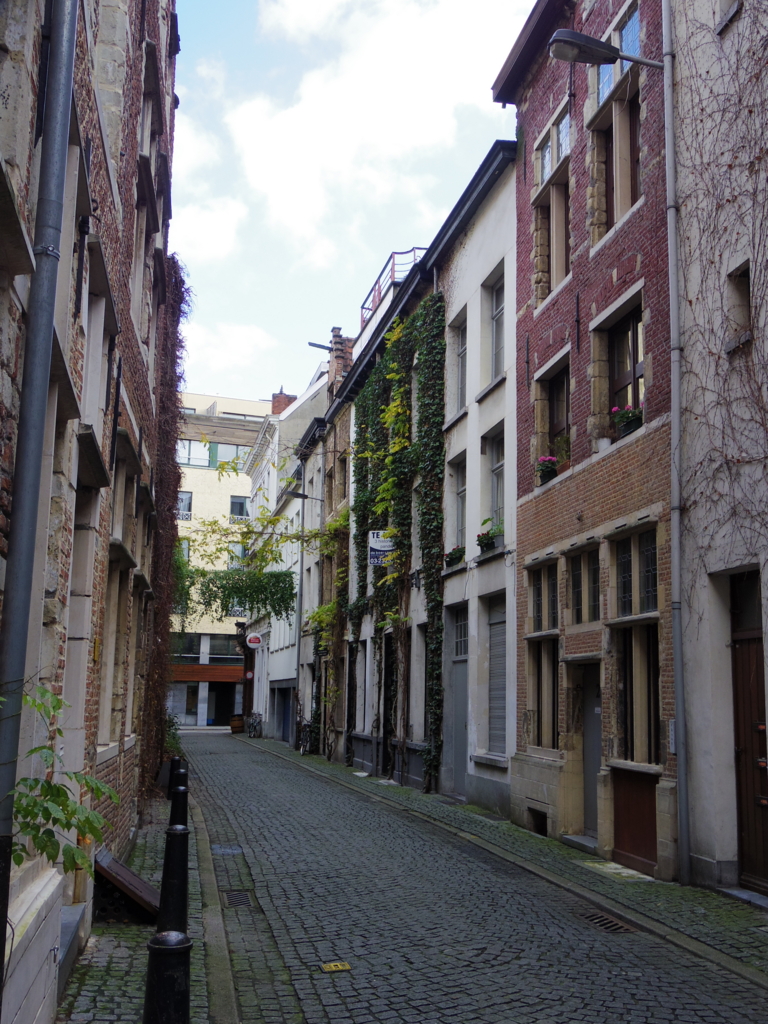 f:id:cenecio:20160124162234j:plain