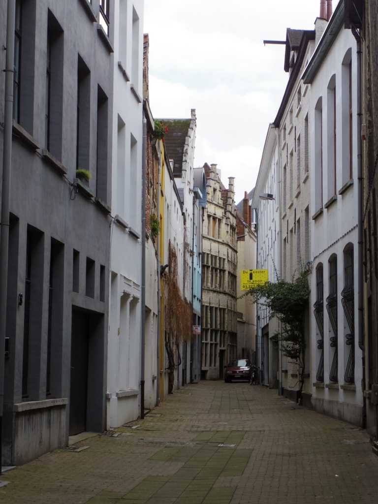 f:id:cenecio:20160124162403j:plain