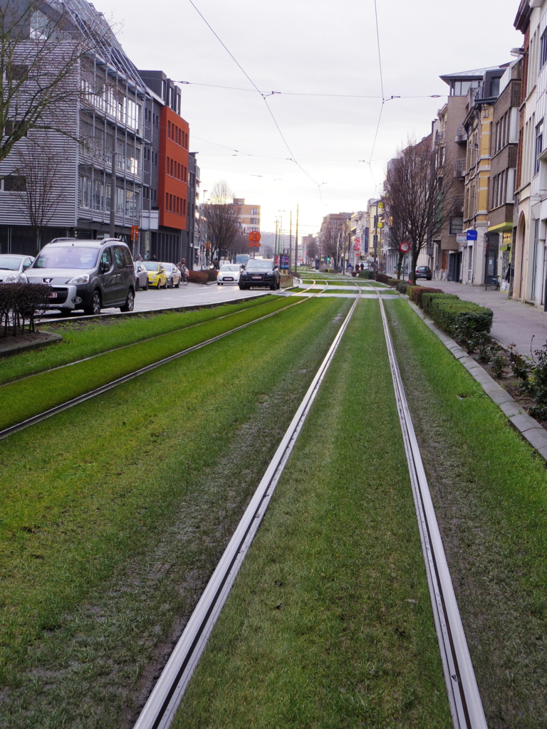 f:id:cenecio:20160125090524j:plain f:id:cenecio:20160125090524j:plain