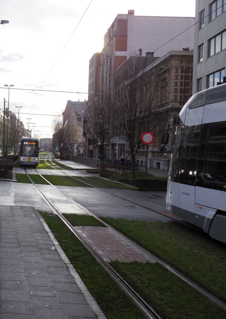 f:id:cenecio:20160125090603j:plain f:id:cenecio:20160125090603j:plain