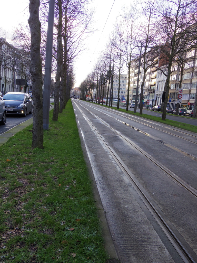 f:id:cenecio:20160125091708j:plain f:id:cenecio:20160125091708j:plain