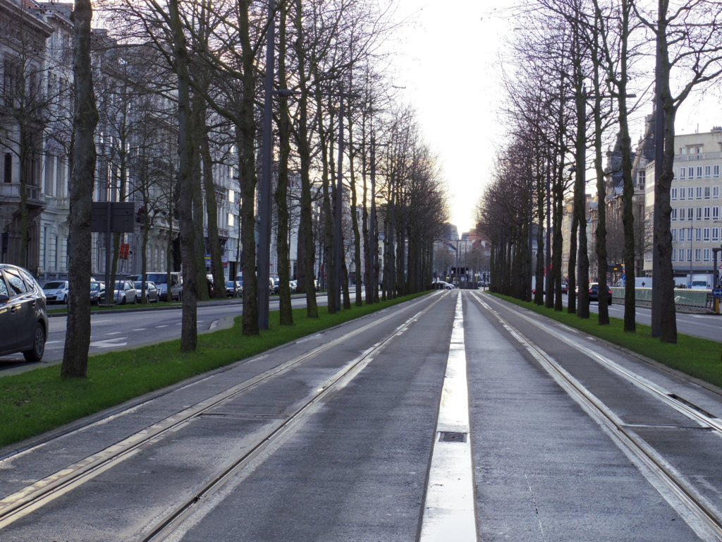 f:id:cenecio:20160125091745j:plain f:id:cenecio:20160125091745j:plain