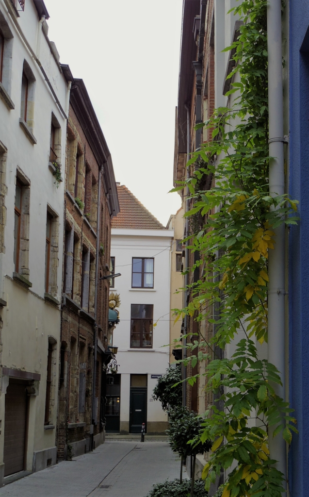 f:id:cenecio:20160204102855j:plain