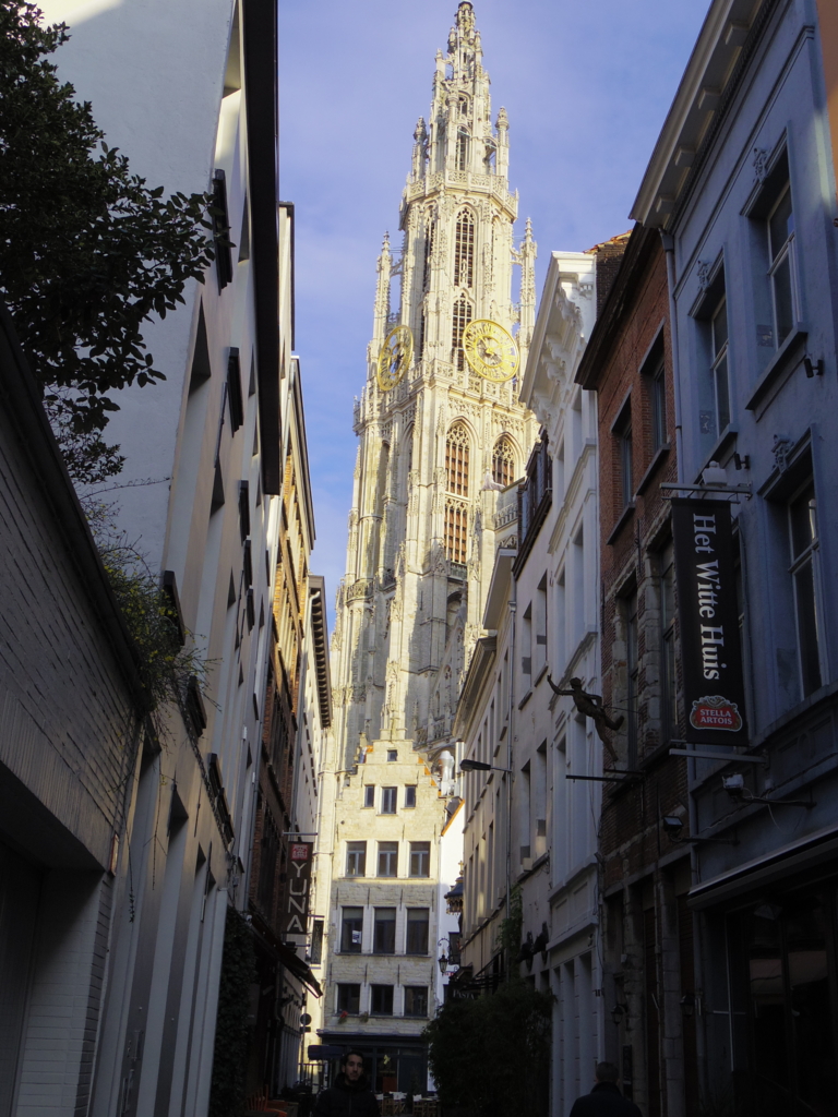 f:id:cenecio:20160204103439j:plain