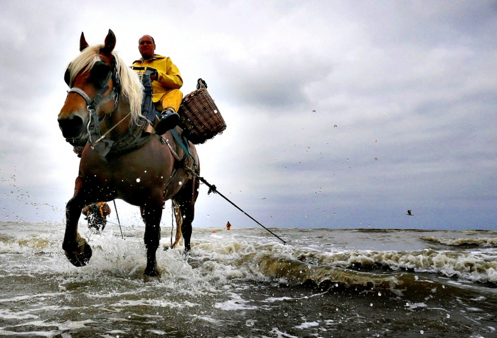 f:id:cenecio:20160220160117j:plain