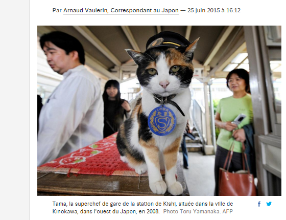 f:id:cenecio:20160406164117p:plain