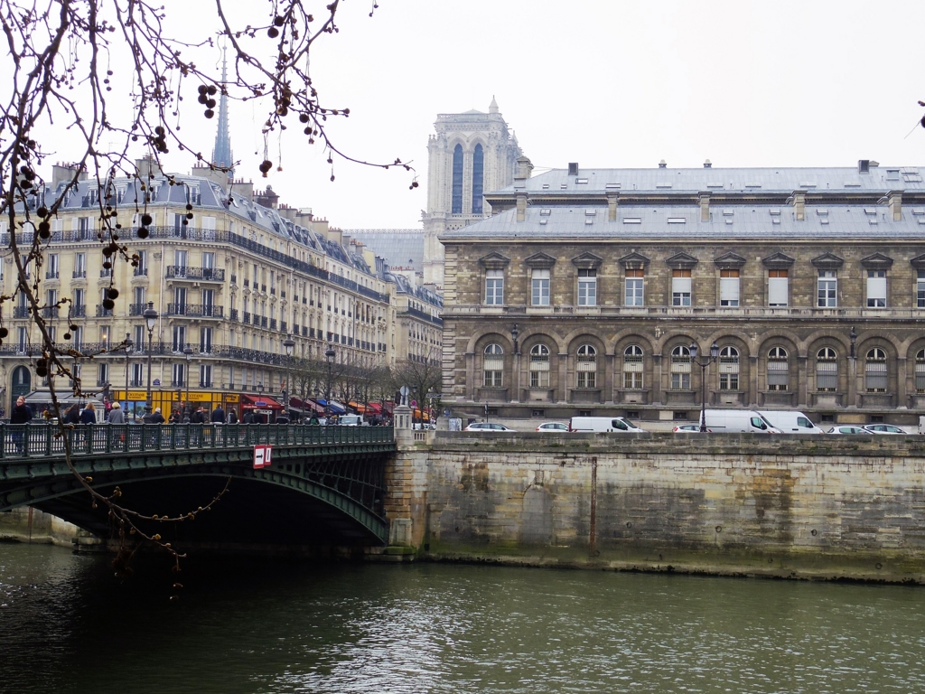 f:id:cenecio:20160407140452j:plain